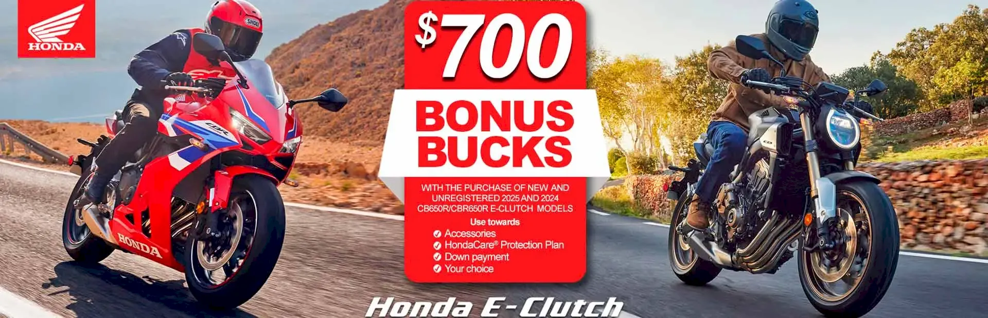 Read more about the article Bonus Bucks